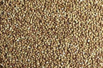 buckwheat. fresh buckwheat. dry buckwheat background. buckwheat texture