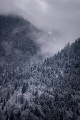Winter wonderland in Austrian alps