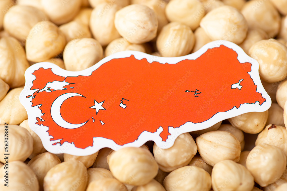 Canvas Prints Flag and map of Turkey on hazelnuts. Concept of growing hazelnuts in Turkey, origin of nuts