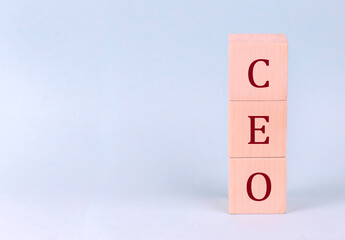 CEO on wooden cubes on a blue background