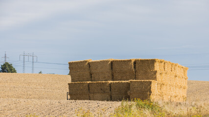Square hay bales stacked in a field