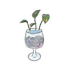 plant in glass