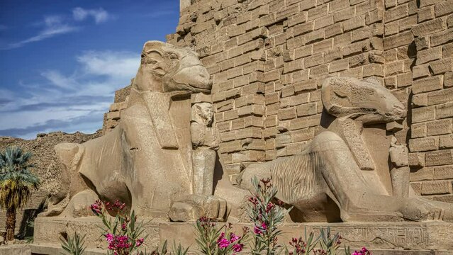 Video, Row of goat headed lions statues in Luxor, Egypt