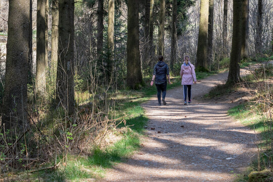 Petite promenade dans les bois entre copines