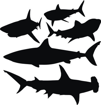 Shark silhouette set, SVG Vector