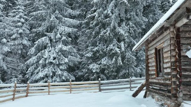 Splendid mountain winter landscape with secluded small wooden alpine cottage among the fir trees fully covered by snow during snow fall.
