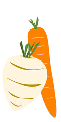 illustrazione di carota e rapa su sfondo trasparente