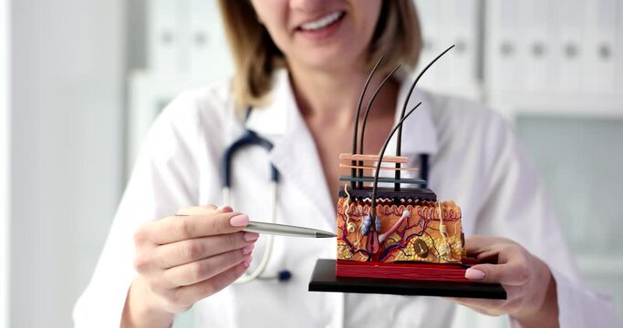 Woman beautician holds plastic model of human skin