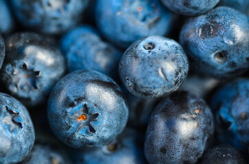 Closeup or macro of blueberries