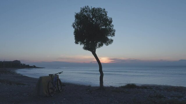 time-lapse shot captures a tree and a mountain bike by the seaside as the sun rises in a coastal town