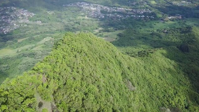 Mountain range and koa trees in east honolulu hawaii kai overlooking the valley, aerial dolly tilt