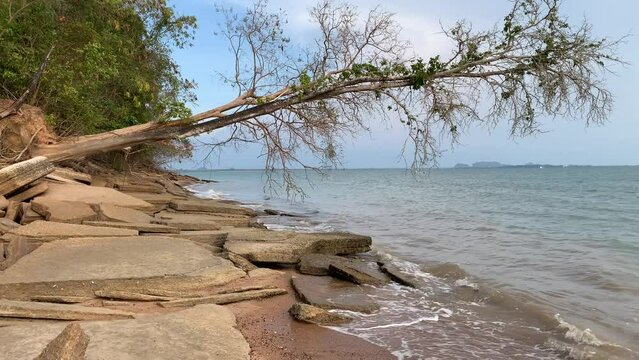 Fossil Shell Beach Near Krabi, Fossilized shells, million-year shell cemetery, Thailand