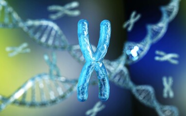Chromosome, X chromosome, human gene, heredity, chromosome on a blurred background, 3D rendering
