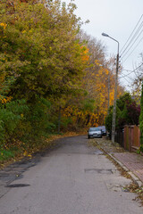 Quiet and peaceful street in the suburbs on a gloomy autumn day. City.