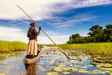 In the dugout canoe through the Okavango Delta, Botswana - obrazy, fototapety, plakaty