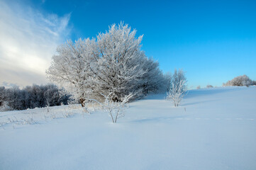 Winter landscape in the mountains, snowy winter landscapes, frosty mornings