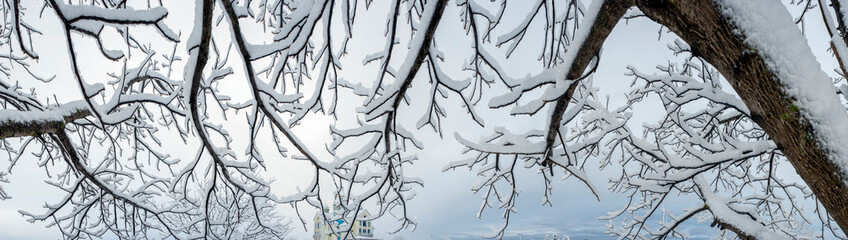 Panorama of snow-covered tree and church in the background. Light-steel sky.