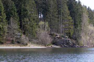 Entre lac et sapin