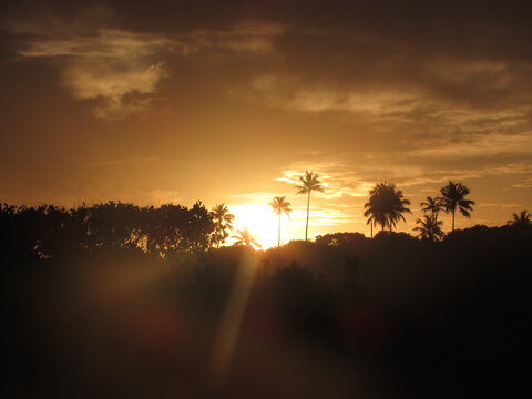 P&ocirc;r do sol entre &aacute;rvores