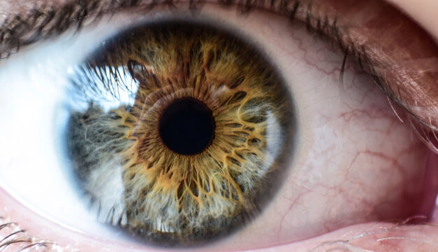 Close-up eye of person