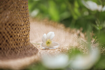 white flowers on a straw hat. nature, summer time, sunlight, compliment