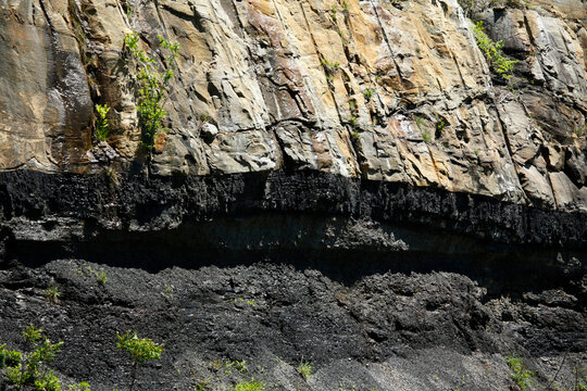 Coal seam exposed in a road cut