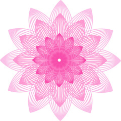 flower-shaped mandala. Different shades of pink. Linear vectorial drawing
