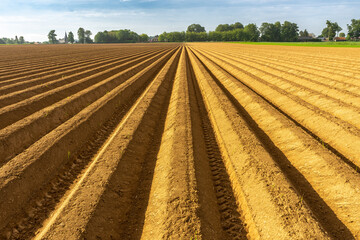 Perfectly ploughed/plowed field on a farm in rural France