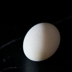 chicken eggs lie on a white background