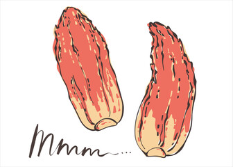 Korean spicy kimchi cabbage. Asian traditional cuisine. Vector illustration in a flat style.