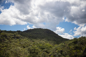 Fototapeta na wymiar Mountain covered with trees, Landscape of Brazil, Goiás. Scene from the Chapada dos Veadeiros National Park, in Alto Paraíso de Goiás. Morro, with clear sky, vegetation of the Cerrado biome.