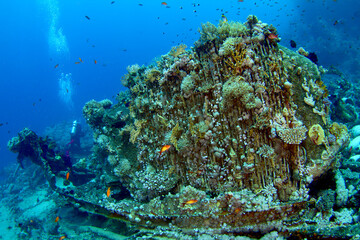 Arrecife de coral en el mar rojo. Bañeras apiladas procedentes de barco hundido