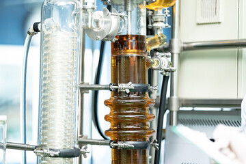 Researchers pouring hemp oil into a science glass tube, Chemist extracting cbd with rotavapor in...