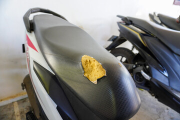 A hole in a motorcycle seat. Genuine leather upholstery has failed over time
