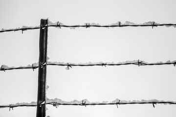 Snow Covered Barbwire in Winter