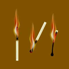 burning matches, set, vector