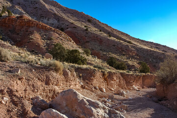 Obraz premium Rocks in a Dry Creek Bed in the Utah Mountains