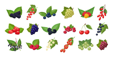 Set of vector berries isolated on white background - obrazy, fototapety, plakaty