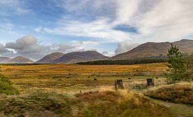 Fototapeta premium Beautiful landscapes of Ireland
