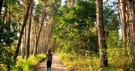 Woman steps along path in forest, looks around, enjoys nature. Hiking in pine forest. Active healthy caucasian woman in jeans and hat with a backpack taking in wood