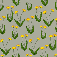 Vector pattern with dandelions. Composition of flowers. For print.