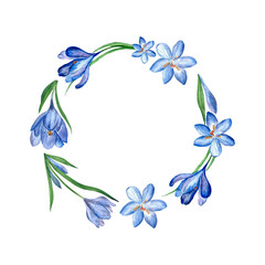 a wreath of blue crocus primrose in watercolor