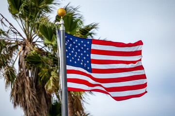 American Flag against Palm Trees