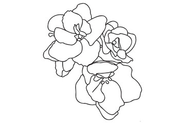 The picture shows violets with a painted outline, it is intended for cards, March 8, Valentine, printing and you can use it in different cases.