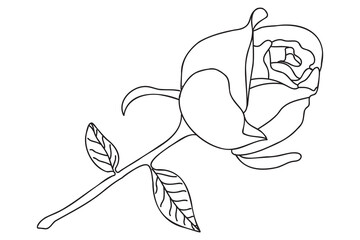 a single rose is drawn with a black outline, it is intended for tattoo, printing, cards, fabric printing, March 8, Valentine, label, logo and other occasions.