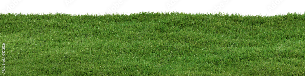 Poster architectural and landscape concept. green grass field isolated on transparent background. 3d render