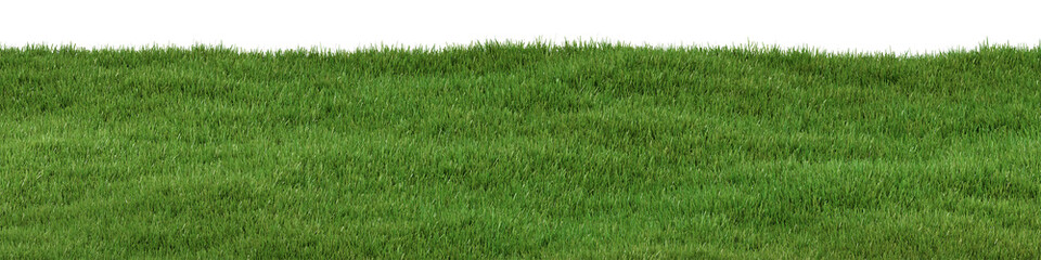 Architectural and landscape concept. Green grass field isolated on transparent background. 3d rendering . PNG format