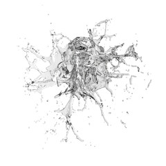 Obraz premium Water splash isolated transparent background 3d rendering 