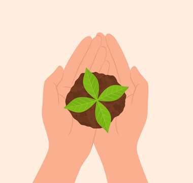Hands holding in a palms a seedling in the soil, top view. Flat vector illustration
