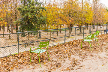 Green chairs of the Tuileries garden in Paris, France in Autumn